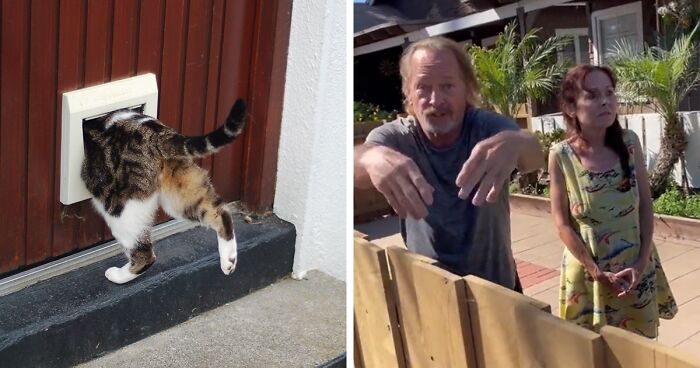 Couple Threatens To Call The Cops For Neighbor Allegedly ‘Harboring’ Their Cat