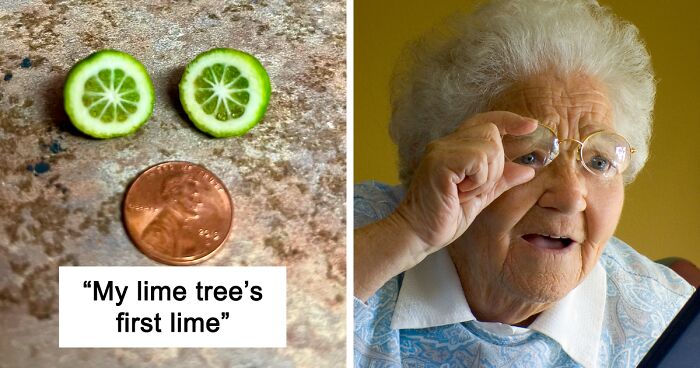 106 Times Gardeners Tried To Grow Their Own Food, But Got Hilariously Disappointing Results (New Pics)