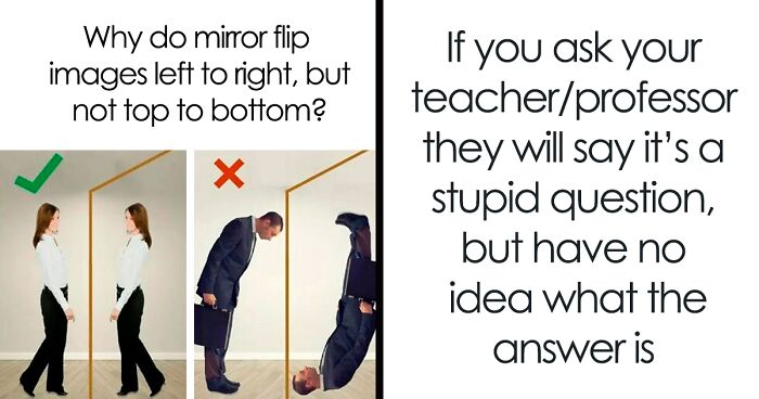 49 Funny 'Educational Memes' To Send To Your Friends Instead Of Studying (New Pics)