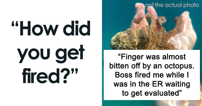 49 People Share Their Best And Worst Stories Of Getting Fired