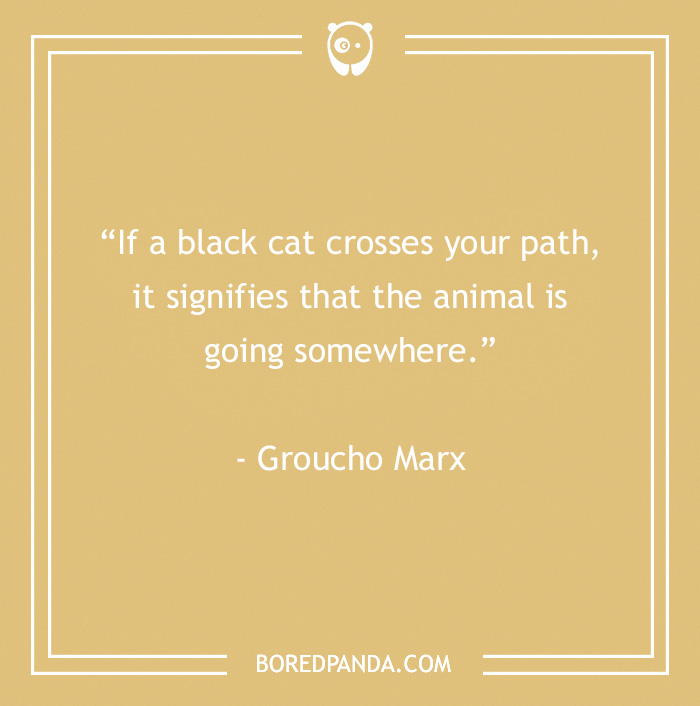 quote about a black cat crossing the path 