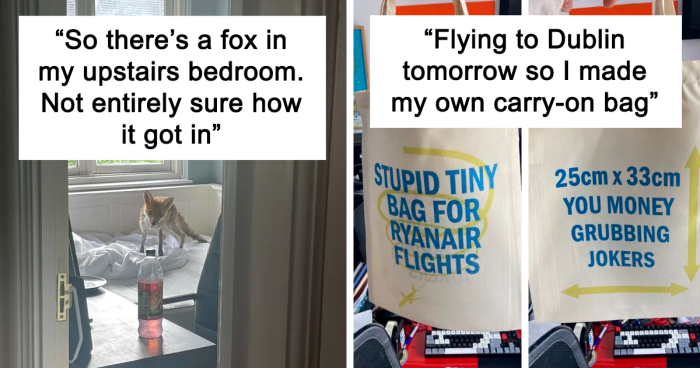 121 Incredibly British Pics That Show The Hilarious And Casual Side Of Life In The UK (New Pics)