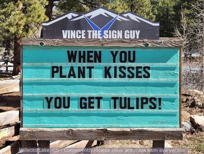 Hilarious-Puns-Public-Signs