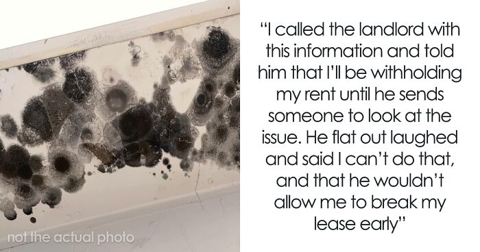 Landlord Thinks He Can Get Away With Mold, Finds Out Otherwise After Tenant's Revenge