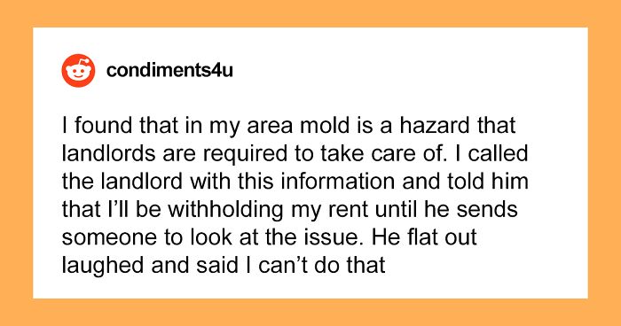 Landlord Blatantly Ignores A Mold Problem, Ends Up With $50k In Fines And Loses His Business