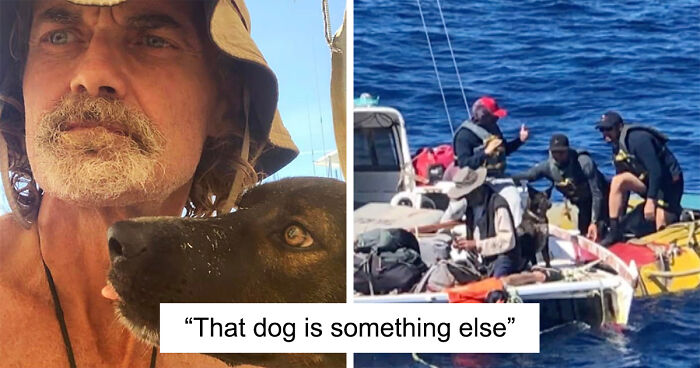 Man And Dog Survive 2 Months At Sea Eating Raw Fish And Drinking Rainwater