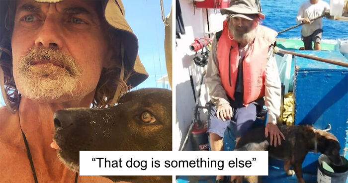 Man And Dog's Incredible Survival Story For 2 Months In The Ocean