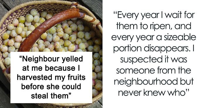 Neighbor Throws A Fit After Plan Of Stealing Plums Backfires