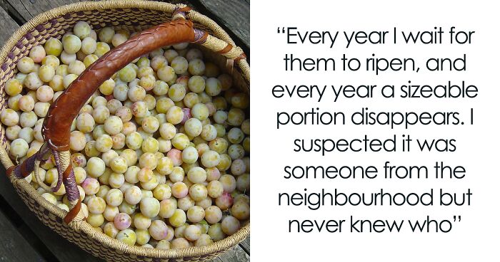 “MY Fruits. On MY Land”: Farmer Gets Yelled At By Rude Neighbor Who Wanted To Take Her Plums