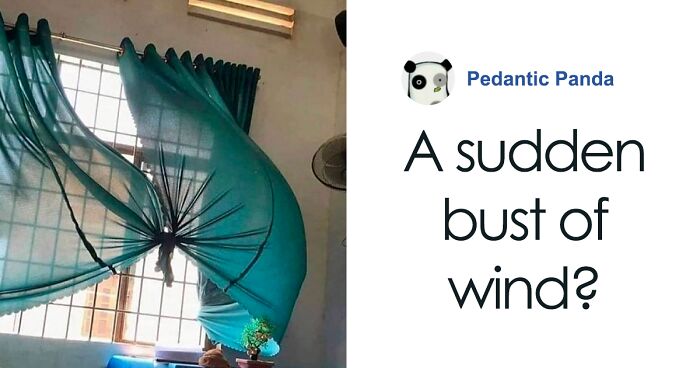 “That’s Not Satisfying”: This Twitter Page Shares Bizarre Memes And Photos (32 Posts)