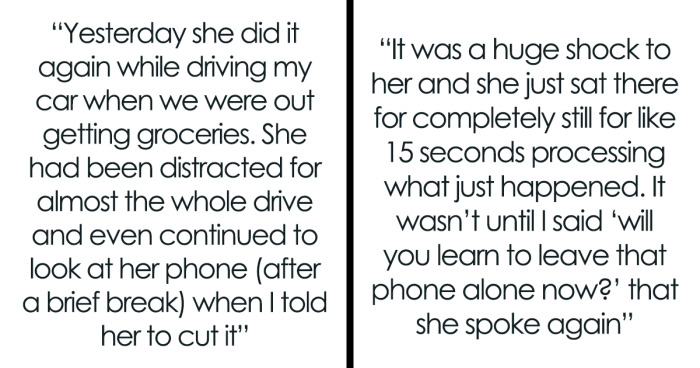 Brother Allows His Sister A Minor Accident After Family Warnings About Texting And Driving Had No Effect