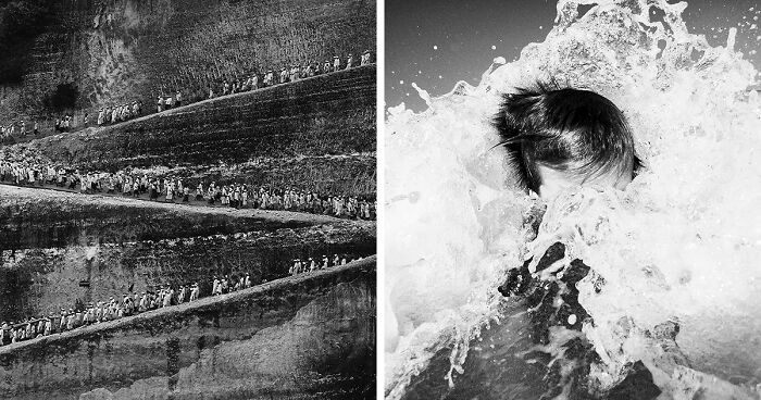 All About Photo Magazine Awards Has Chosen The Most Beautiful Black And White Images (25 Pics)