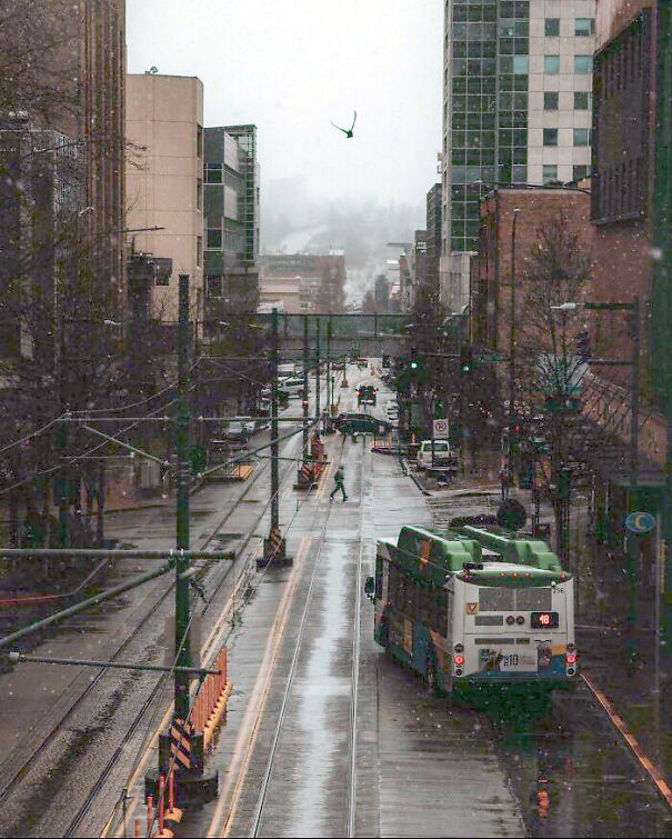 tacoma-64bf8a700d61c-png.jpg