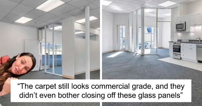 This Office Space Was Converted Into An Apartment In The Laziest Way Possible