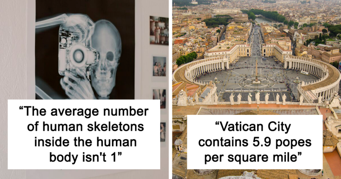 “The Average Number Of Human Skeletons Inside The Human Body Isn’t 1”: 30 Facts That Sound Fake But Are True, As Shared Online