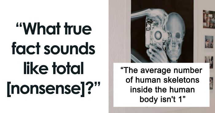 “The Average Number Of Human Skeletons Inside The Human Body Isn’t 1”: 30 Facts That Sound Fake But Are True, As Shared Online