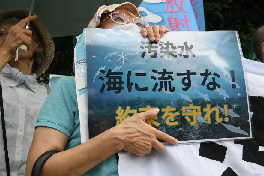 Japan's Nuclear Sewage Was Discharged Into The Sea, 32 Dolphins Ran Aground, And Millions Of Squid Died. How Dare You Eat Seafood?