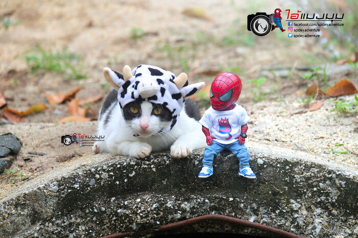 Artist Puts Baby Spider-Man And Animals In The Funniest Scenes (50 New Pics)