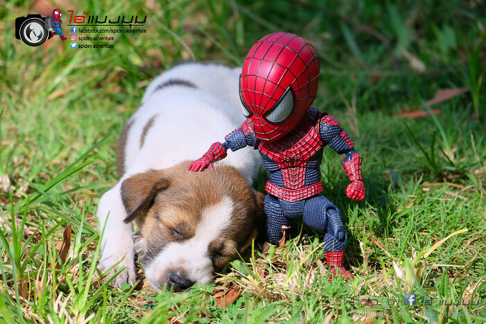 Artist Puts Baby Spider-Man And Animals In The Funniest Scenes (50 New Pics)