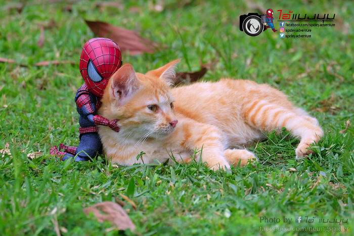 Artist Puts Baby Spider-Man And Animals In The Funniest Scenes (50 New Pics)