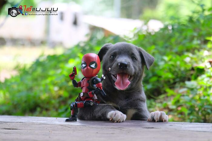 Artist Puts Baby Spider-Man And Animals In The Funniest Scenes (50 New Pics)