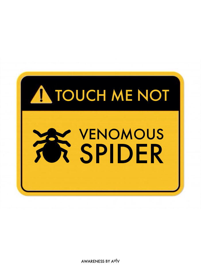 Venomous Spider