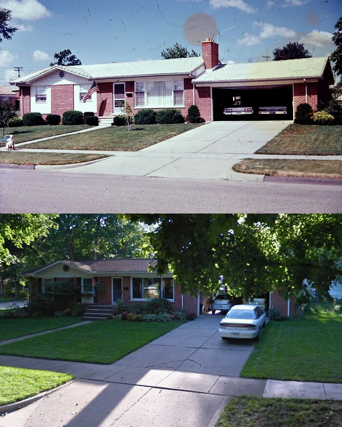 Ann Arbor 1964 & 2019