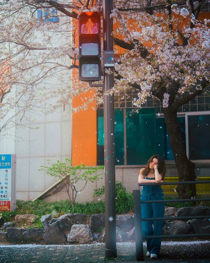 ITAP Of My Sister With Cherry Blossoms