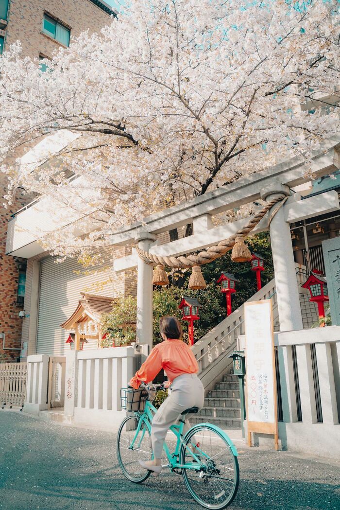 ITAP Of Spring Tokyo