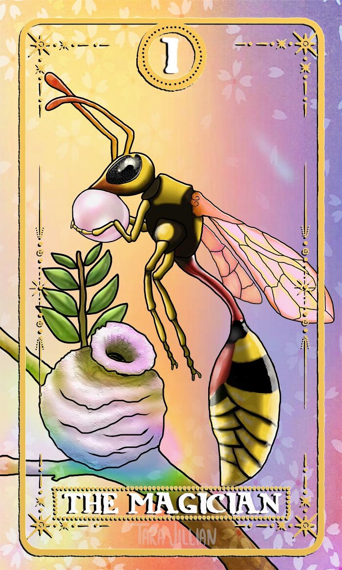 The Magician / Potter Wasp