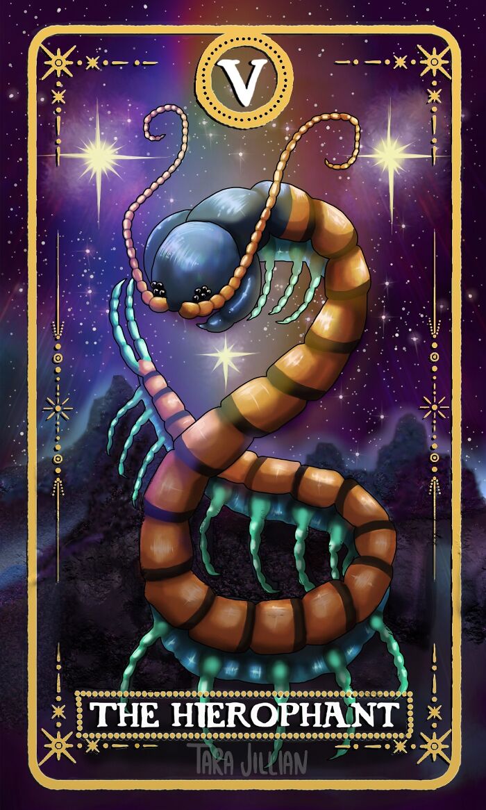 The Hierophant / Scolopendra Centipede