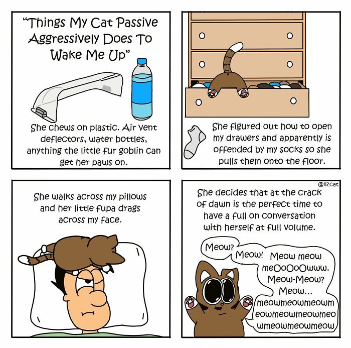 Artist’s New Hilarious Comics About Life With His Cat