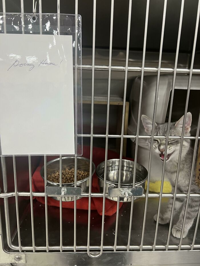 I Went To Petsmart And Someone Adopted This Little Guy. He Looks So Excited