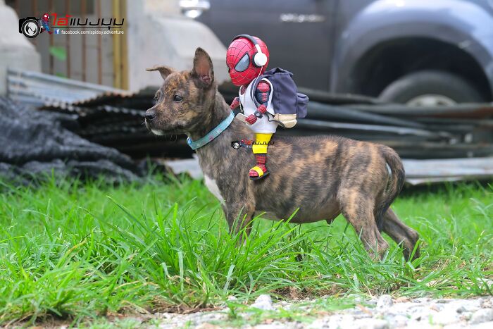 Artist Puts Baby Spider-Man And Animals In The Funniest Scenes (50 New Pics)