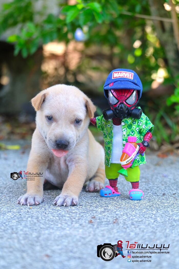 Artist Puts Baby Spider-Man And Animals In The Funniest Scenes (50 New Pics)