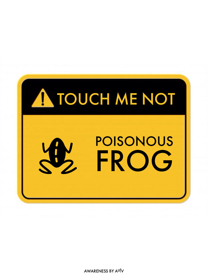 Poisonous Frog