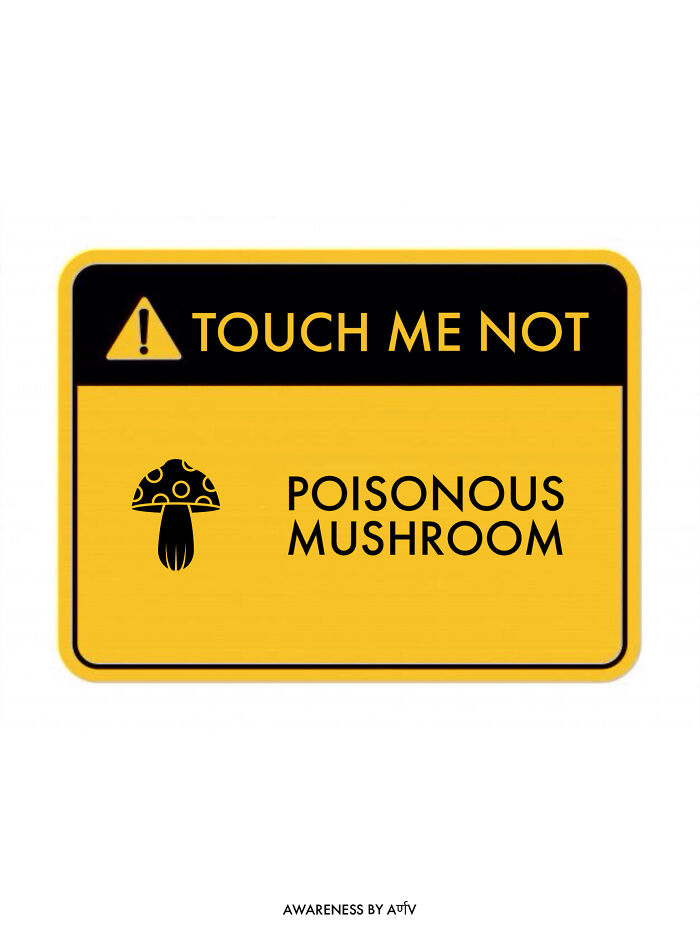 Poisonous Mushroom