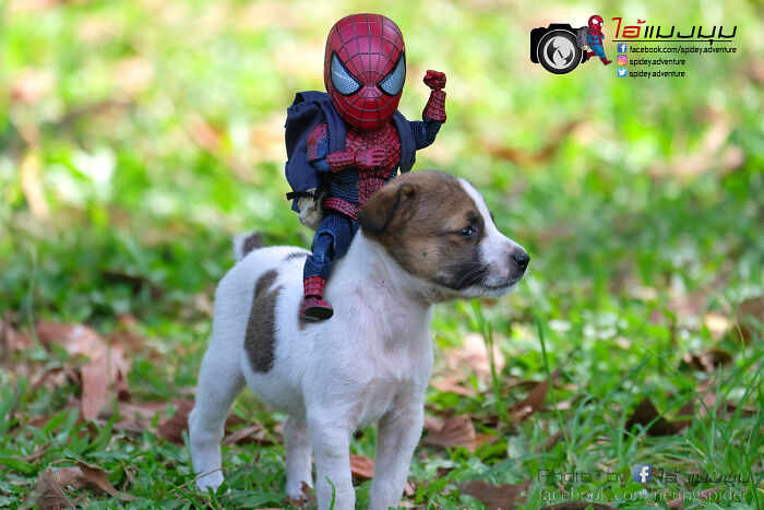 Artist Puts Baby Spider-Man And Animals In The Funniest Scenes (50 New Pics)