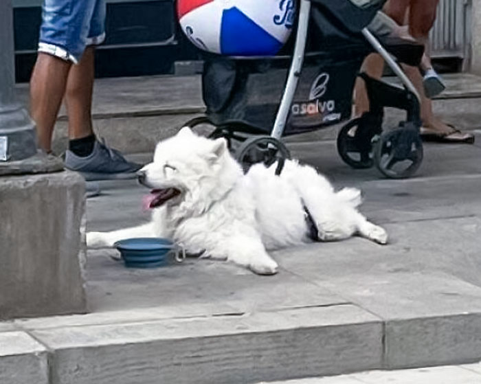 Enjoying Water On A Hot Summer Day