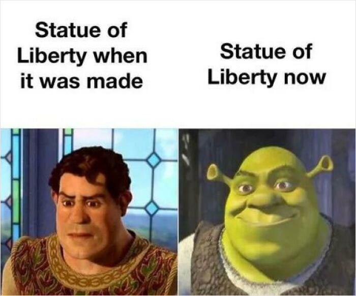 SHREK Y U DO DIS  Shrek memes, Cartoon memes, Cute memes
