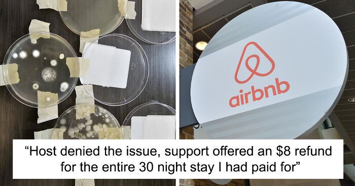 Airbnb Guest Tests Air Quality Due To Mold Smell As The Host Denied The Issue, Gets Alarming Results