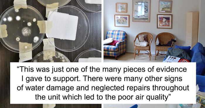 Airbnb Offers $8 Compensation For 30-Night Stay In Moldy Home, Guest Gets Credit Chargeback