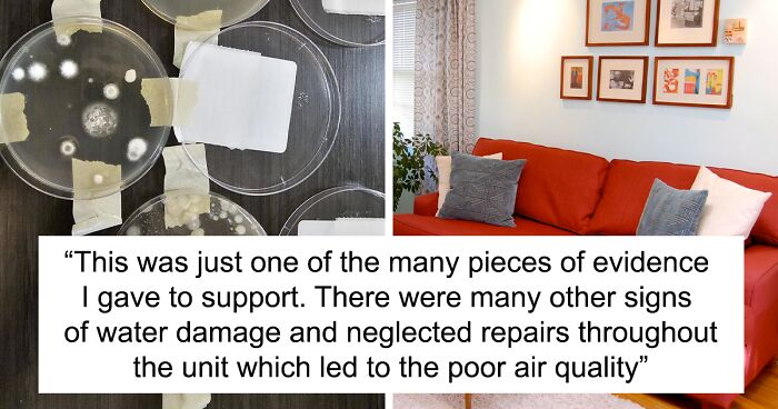 Airbnb Guest Tests Air Quality Due To Mold Smell As The Host Denied The Issue, Gets Alarming Results