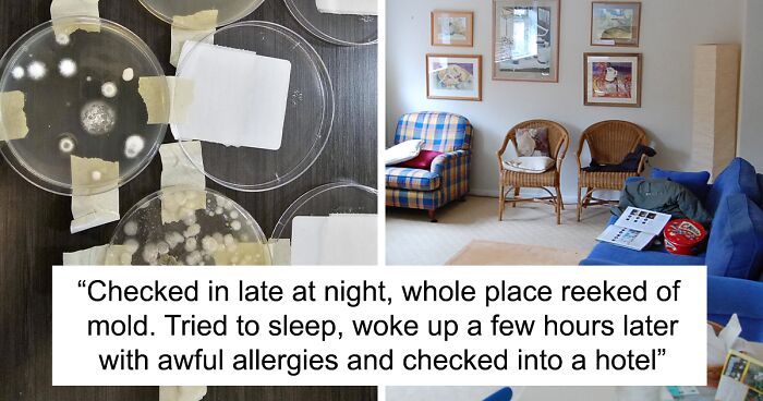 Airbnb Guest Tests Air Quality Due To Mold Smell As The Host Denied The Issue, Gets Alarming Results