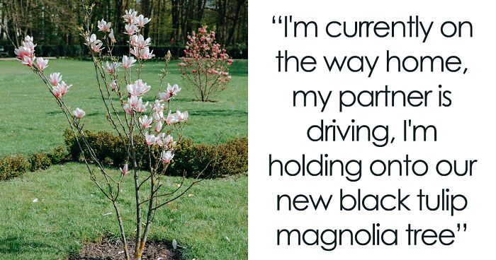 Family Drama Ensues As Entitled Woman Uproots Nice Magnolia Tree In Her Nephew's Garden