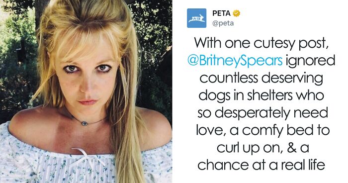 Britney Spears Buys A New Dog Amid Divorce With Sam Asghari, Gets Slammed By PETA