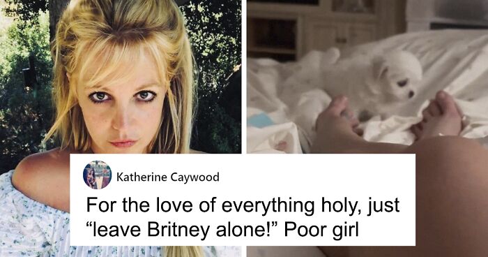 PETA Slams Britney Spears For Buying A Fifth Dog, Makes Fans Come To Her Defense