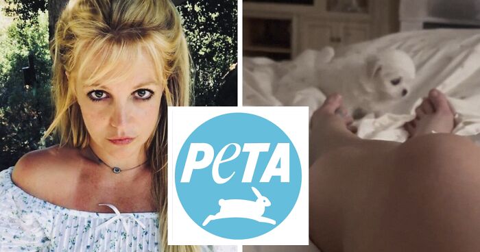 “This Is A Bit Much”: Britney Spears Is Criticized By PETA For Buying A New Dog