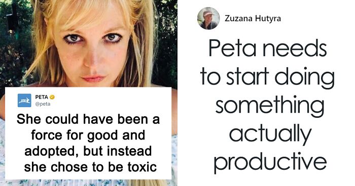 Britney Spears Gets Slammed By PETA For Buying A New Puppy, Forcing Her To Turn Off Comments