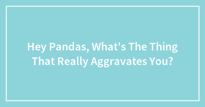 Hey Pandas, What’s The Thing That Really Aggravates You? (Closed)